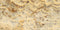 Scabos 12" X 24" Tile - (Cross-cut) Filled & Honed